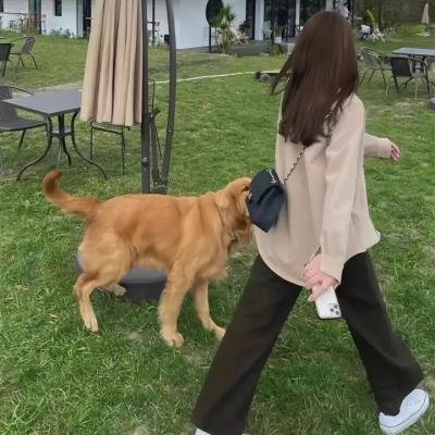 云端放映厅